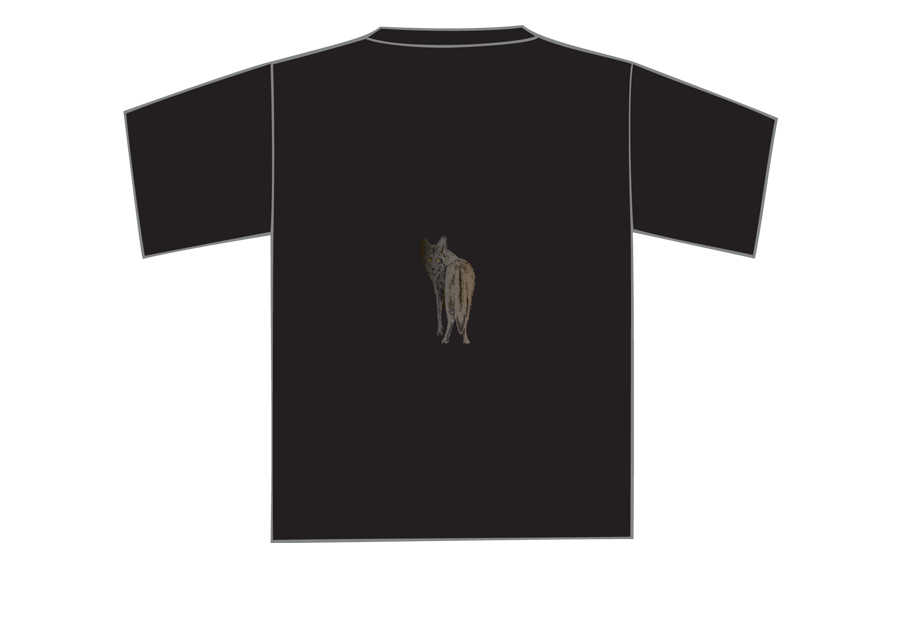 Conversation of Coyotes